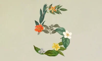 آنتروپیک از Claude Sonnet 5 رونمایی کرد؛ مدلی قدرتمند برای هدایت ایجنت‌ها