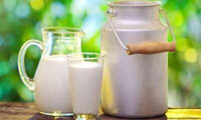 ناگفته‌هایی از ماندگاری شیرهای پاکتی؛ هشدار متخصص تغذیه