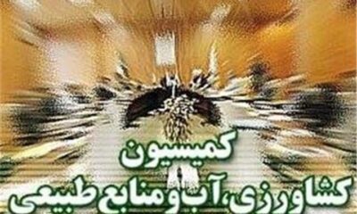پیگیری سازوکار پرداخت مطالبات گندم‌کاران در کمیسیون کشاورزی مجلس