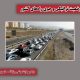 بشنوید| ترافیک سنگین در جاده هراز، فیروزکوه و چالوس مسیر جنوب به شمال