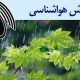 بشنوید| رگبار پراکنده باران و وزش باد در جنوب، سواحل خزر و ارتفاعات البرز مرکزی