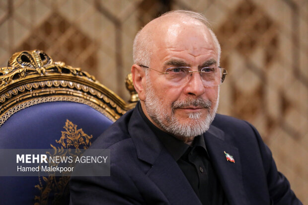 رئیس مجلس انتصاب ذوالقدر به عنوان مشاور سیاسی رهبر انقلاب را تبریک گفت