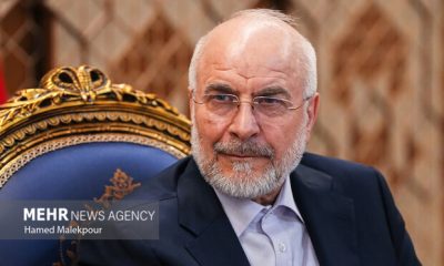 قالیباف در پاسخ به ادعاهای وزیر خزانه‌داری آمریکا: ای دروغگو!