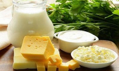 نگاه طب ایرانی به اثرات درمانی پروبیوتیک‌ها