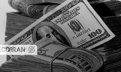 پشت پرده نوسان ۴۴ هزار تومانی دلار در چند ماه