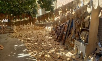 کشف دپوی غیرقانونی هزار قرص نان در منزل مسکونی اطراف اراک