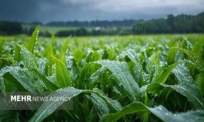 آمادگی دستگاه‌های اجرایی ایلام برای پیشگیری از خسارت بارش‌های پائیزی
