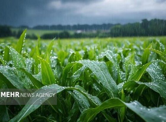 آمادگی دستگاه‌های اجرایی ایلام برای پیشگیری از خسارت بارش‌های پائیزی