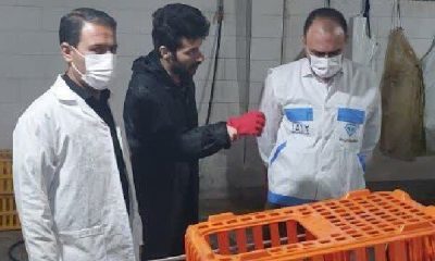 الزامات بهداشتی در کشتارگاه طیور اسلام‌آبادغرب رعایت شود