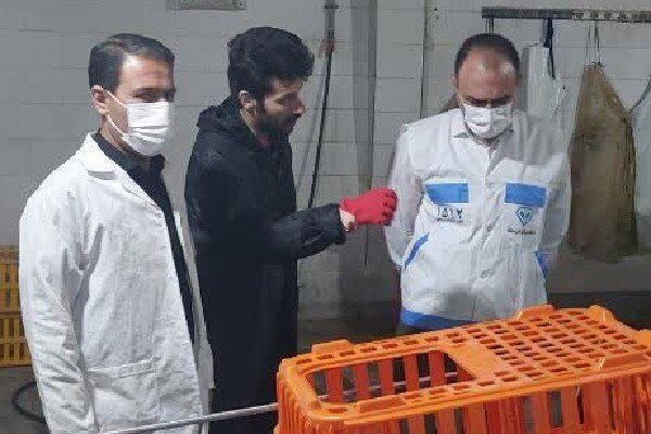 الزامات بهداشتی در کشتارگاه طیور اسلام‌آبادغرب رعایت شود