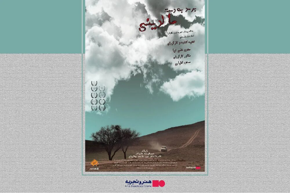 «برسد به دست مالدینی» به اکران آنلاین رسید