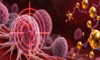 تاثیر مکمل‌های آرژنین بر شناسایی سلول‌های سرطانی