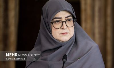 مهاجرانی: آنچه انجام شده تمام توان دولت است