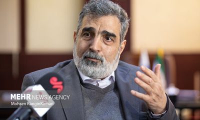 کمالوندی: ایران گزینه‌های زیادی برای دفاع از خود دارد